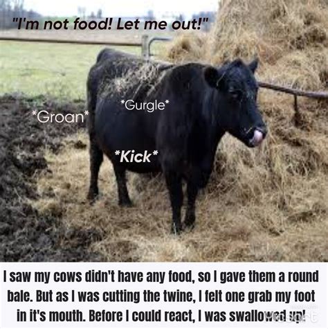 codi vore cow|Codi Vore in full cow mode : r/Hucow .